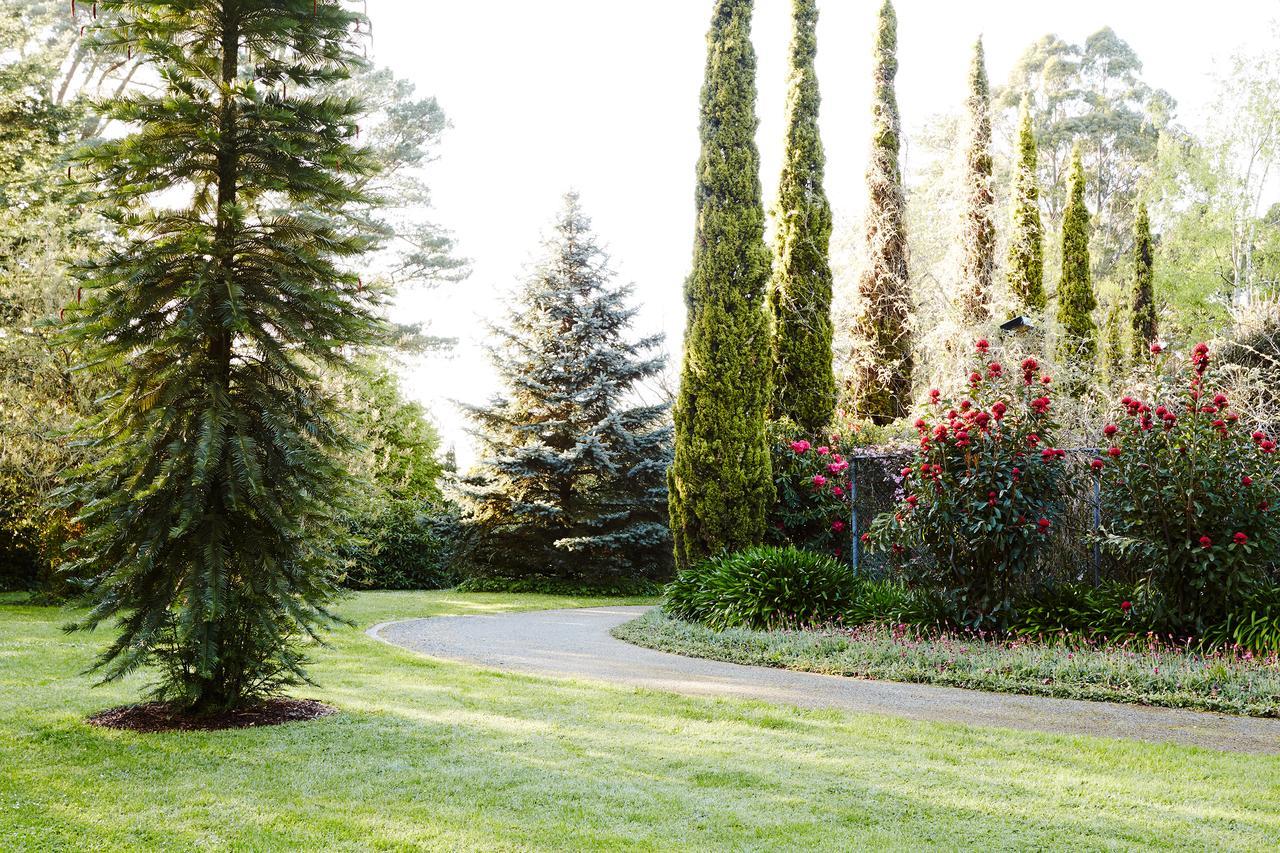 منزل الضيف أوليندا  في Beechmont Garden Retreat المظهر الخارجي الصورة