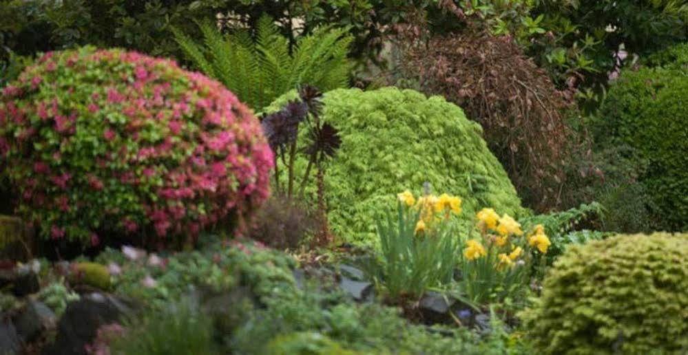 منزل الضيف أوليندا  في Beechmont Garden Retreat المظهر الخارجي الصورة