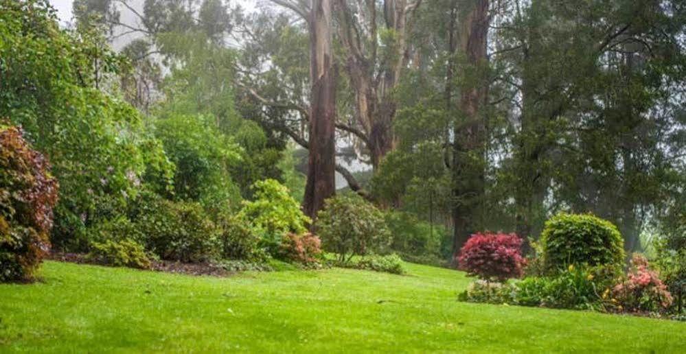منزل الضيف أوليندا  في Beechmont Garden Retreat المظهر الخارجي الصورة