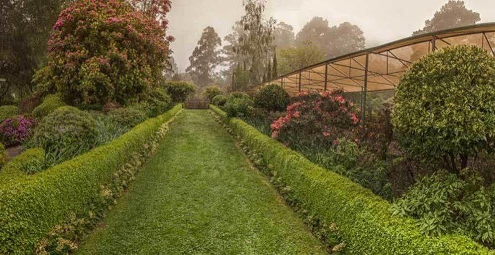 منزل الضيف أوليندا  في Beechmont Garden Retreat المظهر الخارجي الصورة