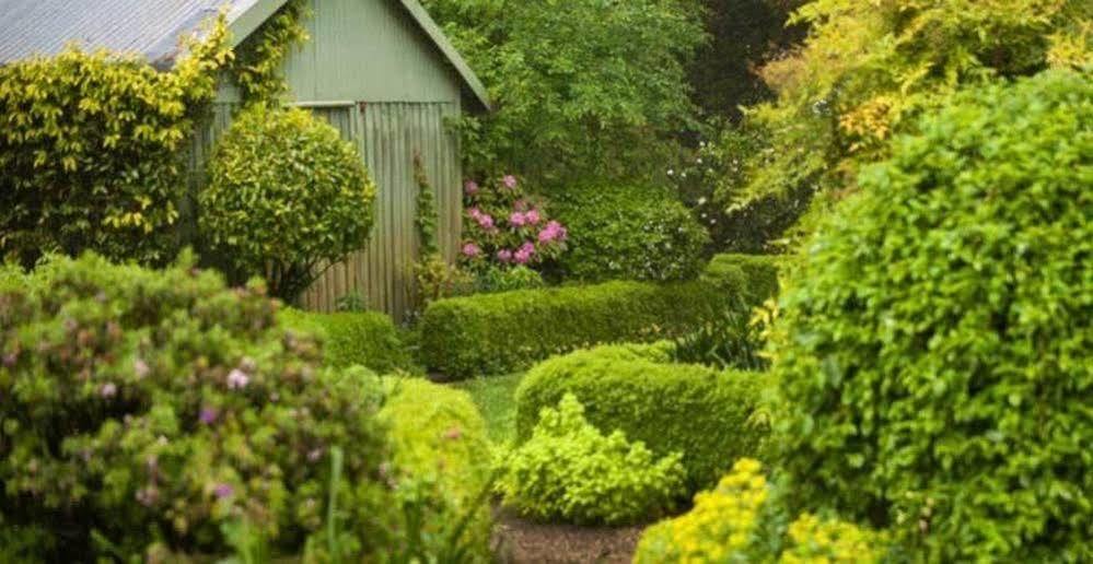منزل الضيف أوليندا  في Beechmont Garden Retreat المظهر الخارجي الصورة